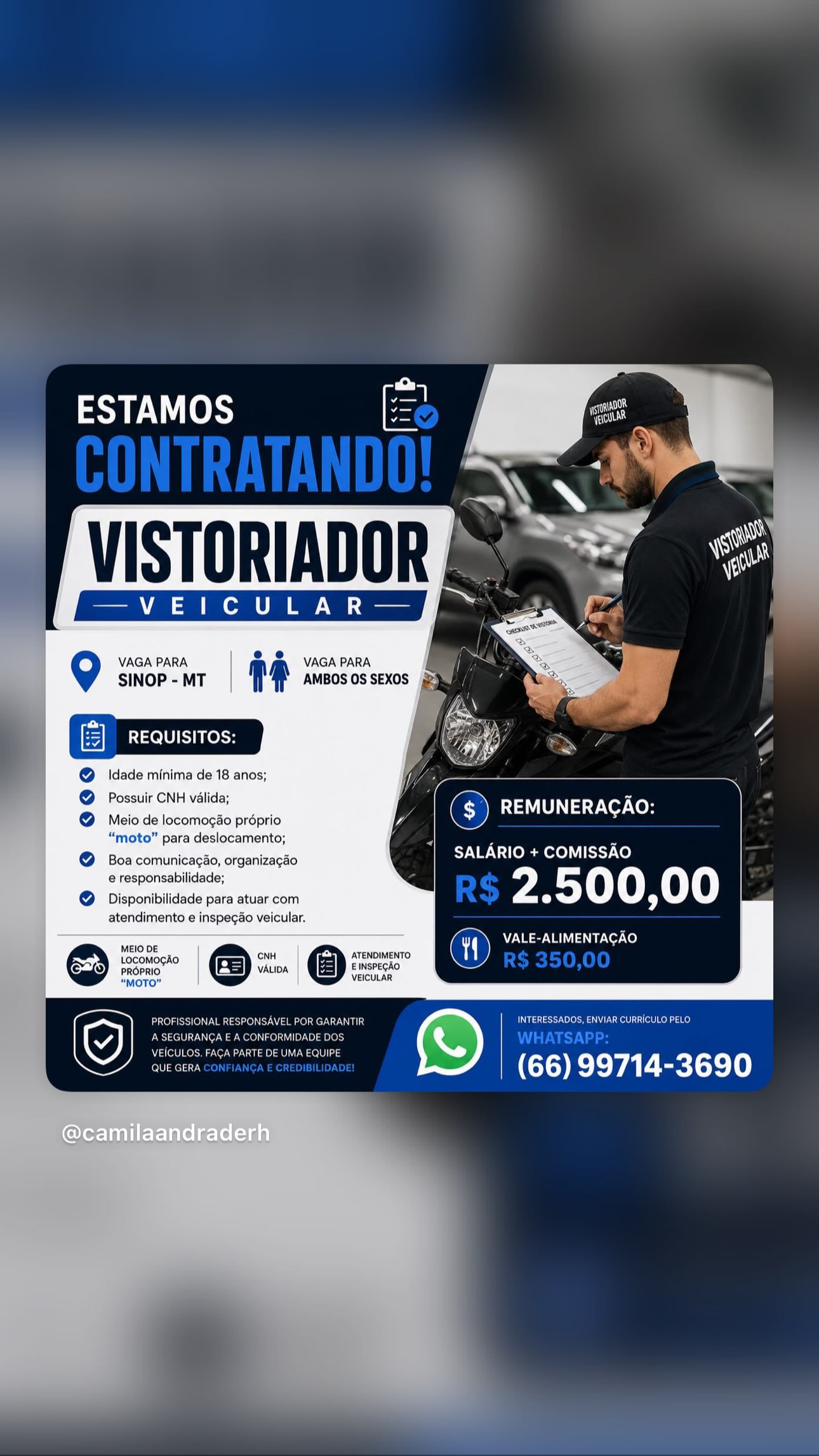 Vistoriar