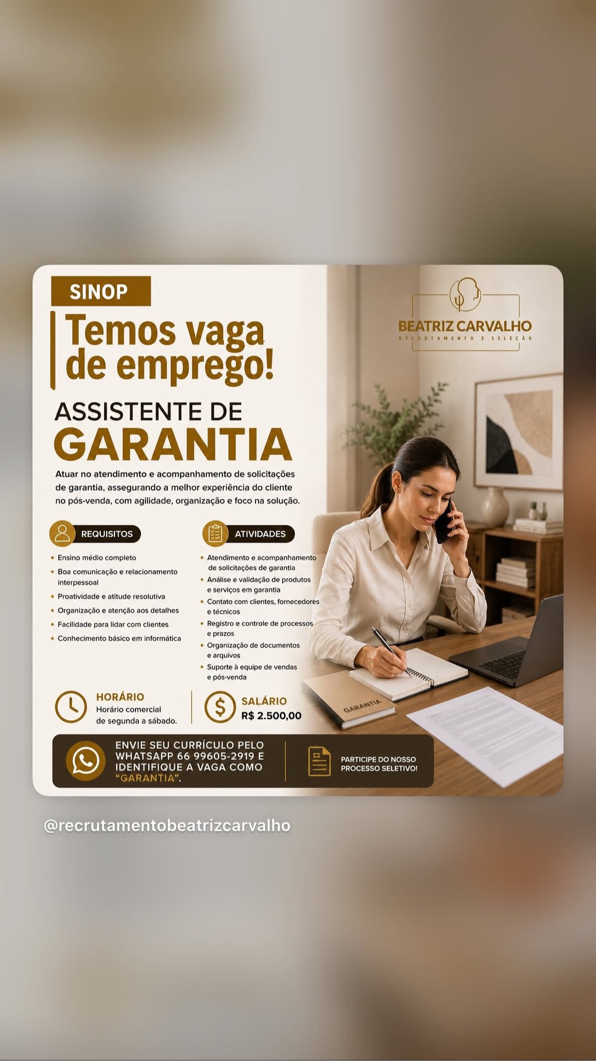 Assistente de Garantia