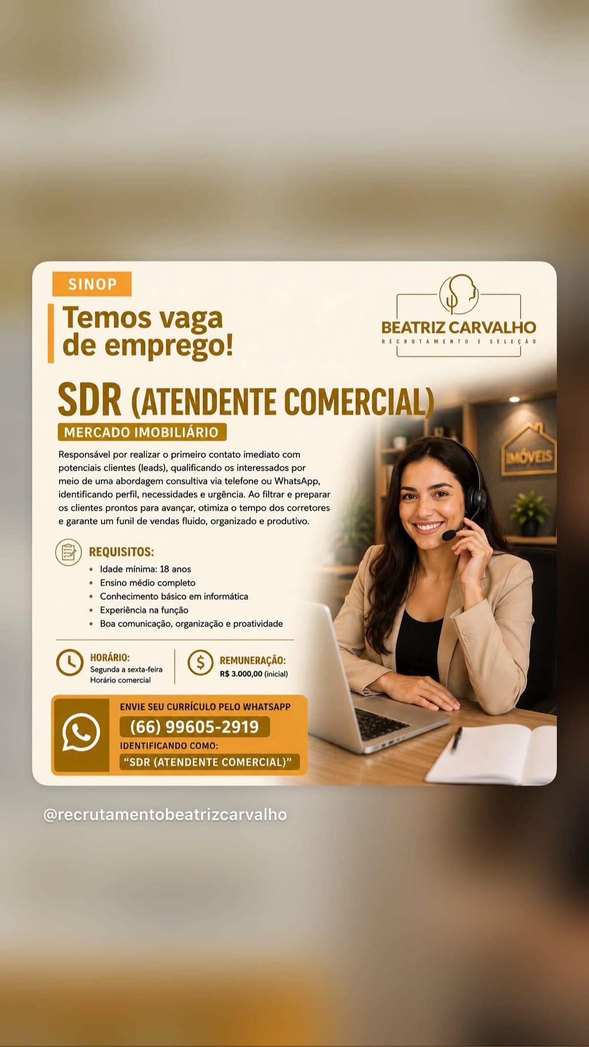 Atendente Comercial