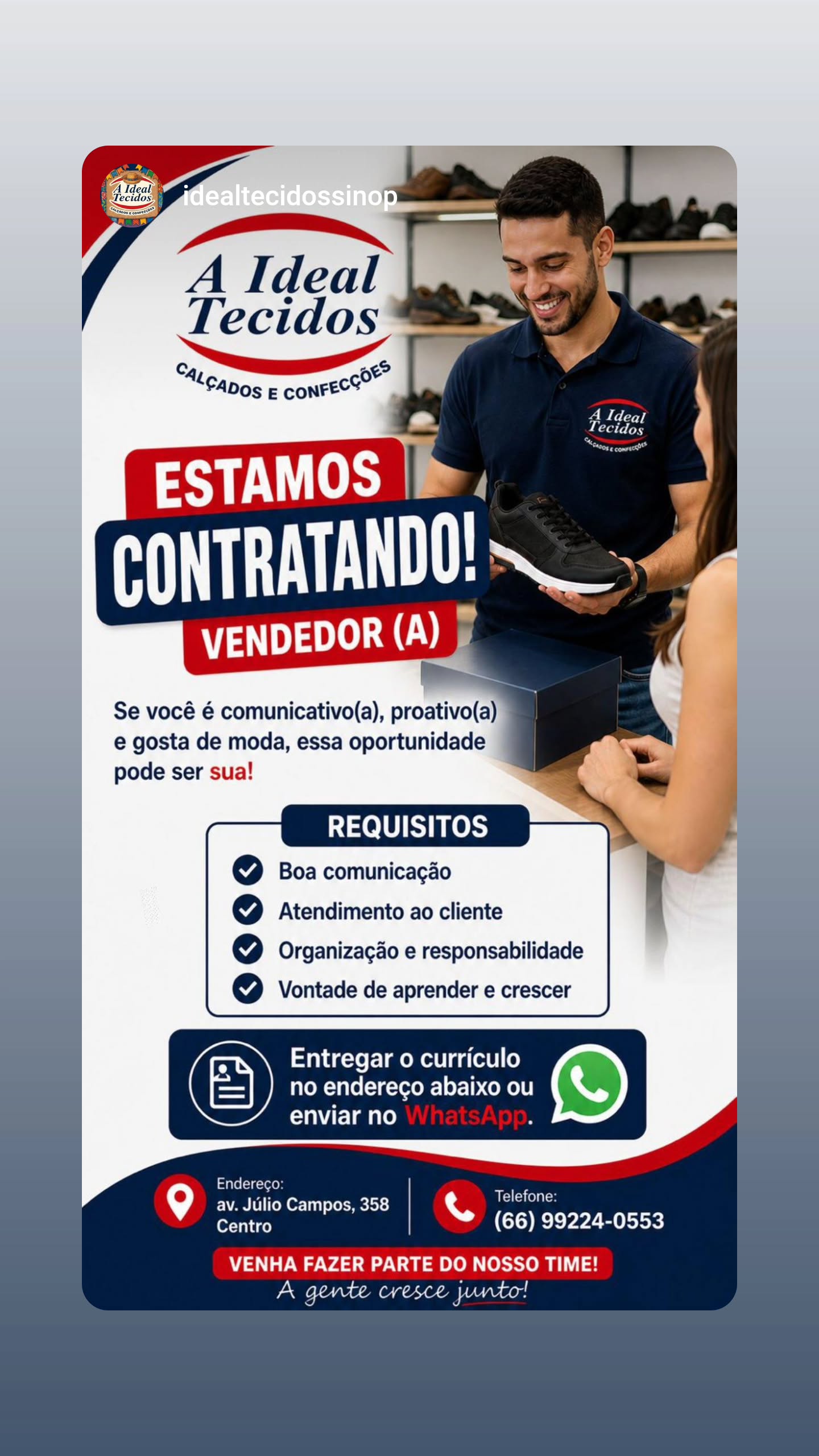 Vendedor