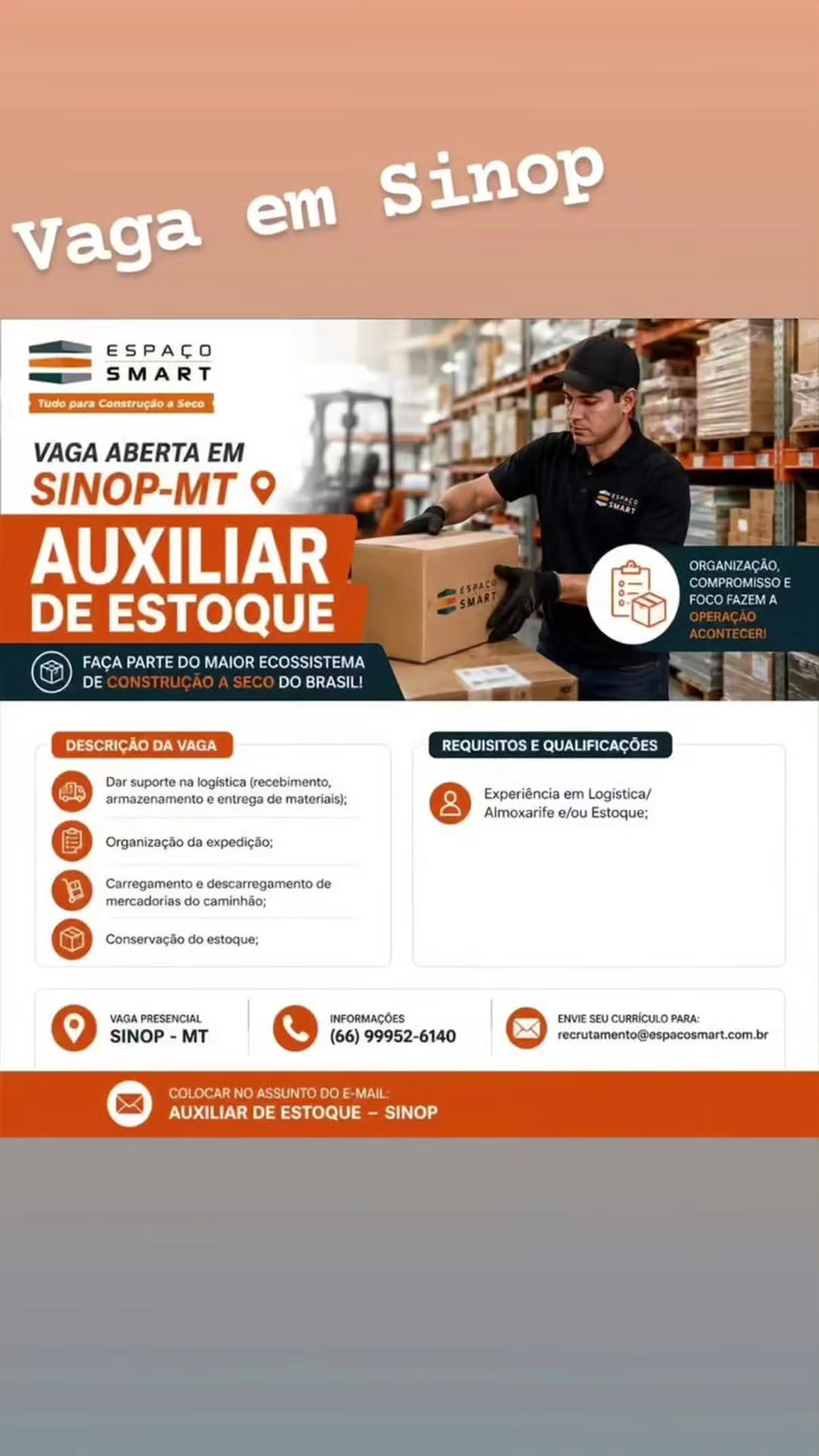 Auxiliar de estoque