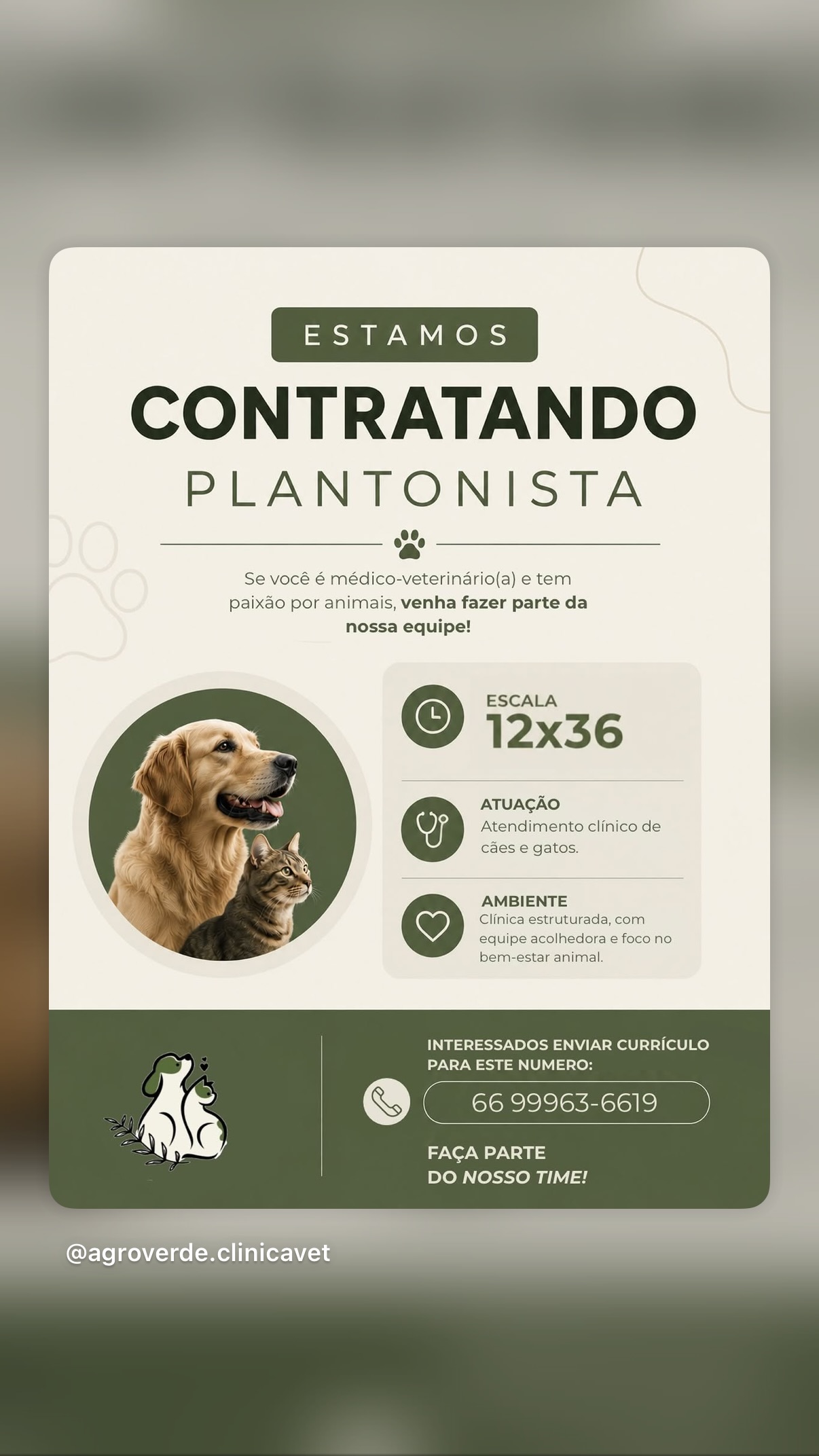 Plantonista