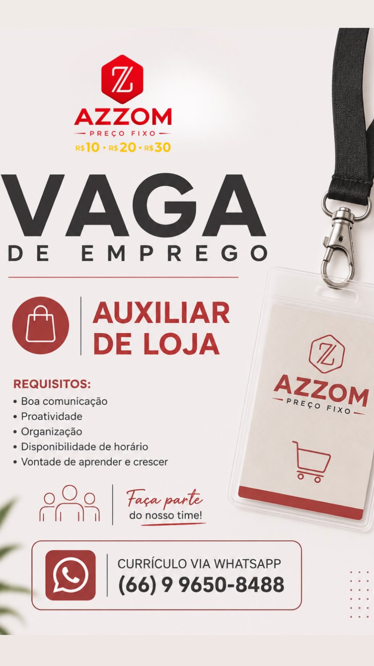 Auxiliar de Loja