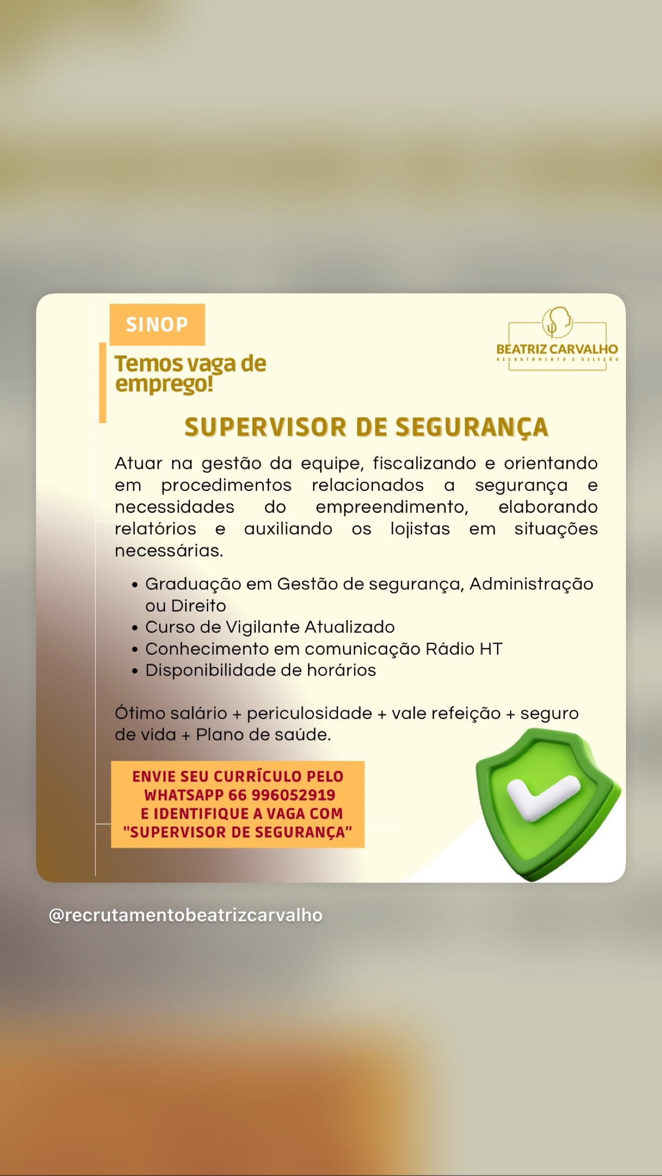 Supervisor de Segurança