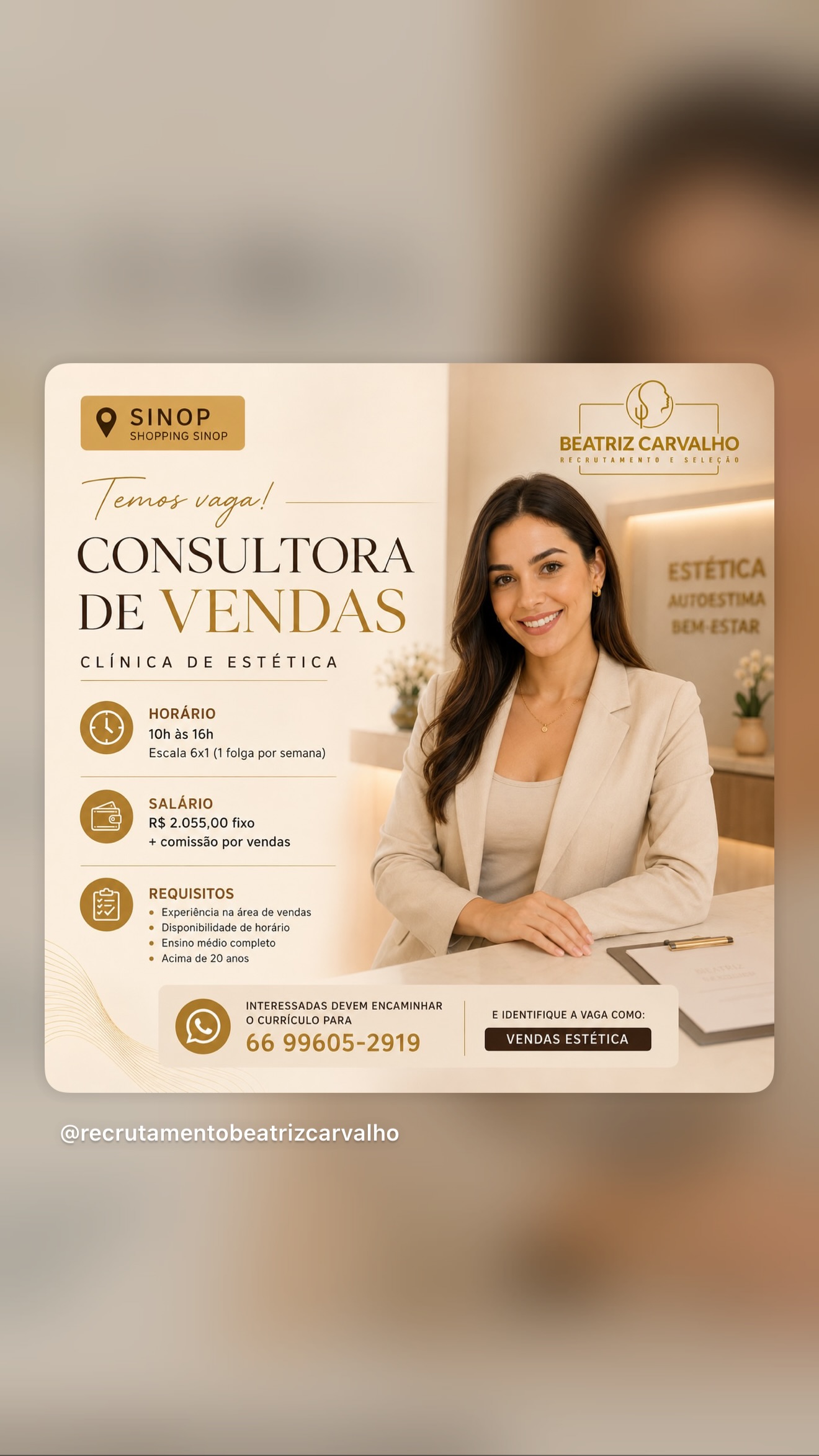 Consultora de Vendas