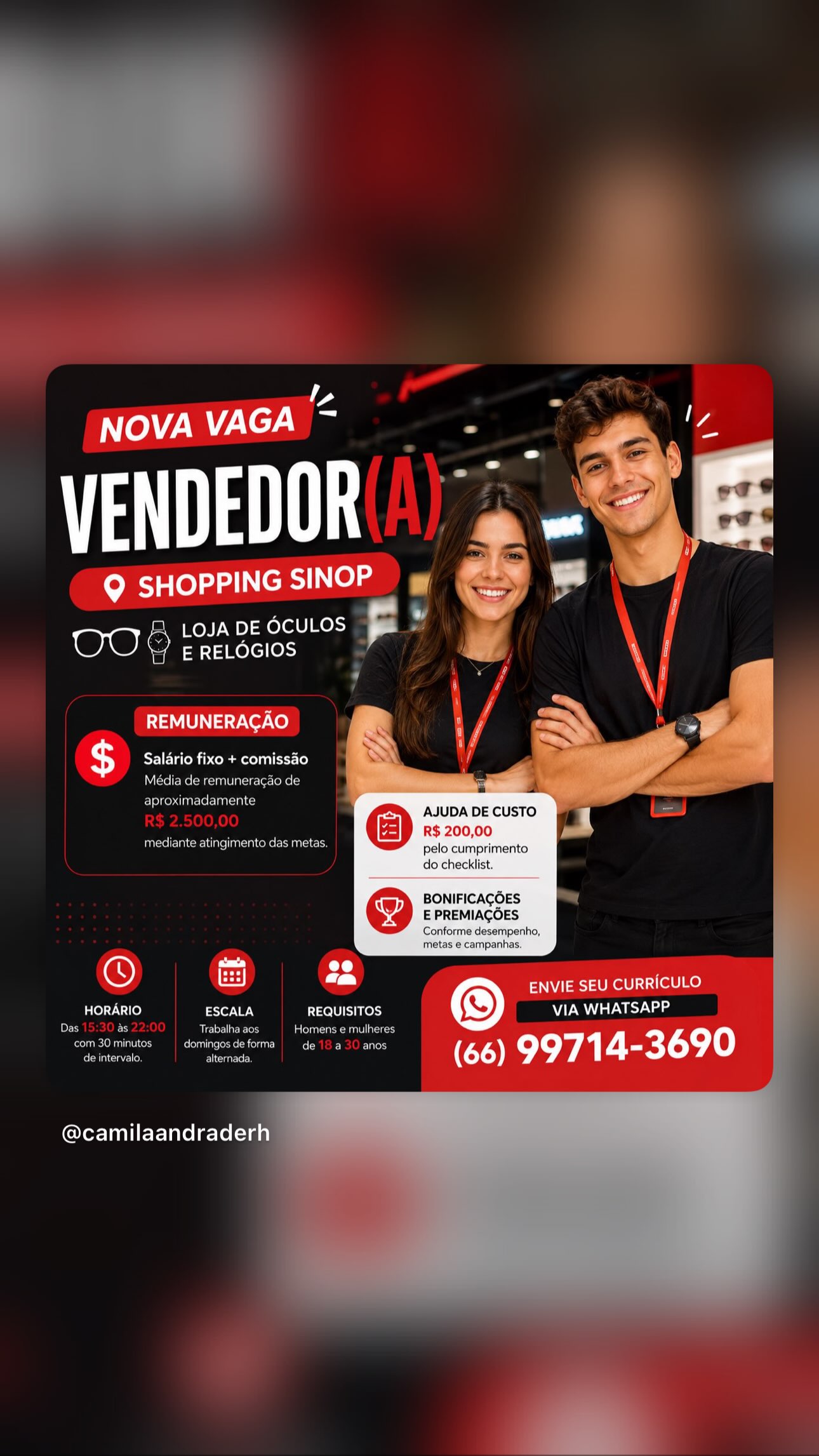 Vendedor(a)