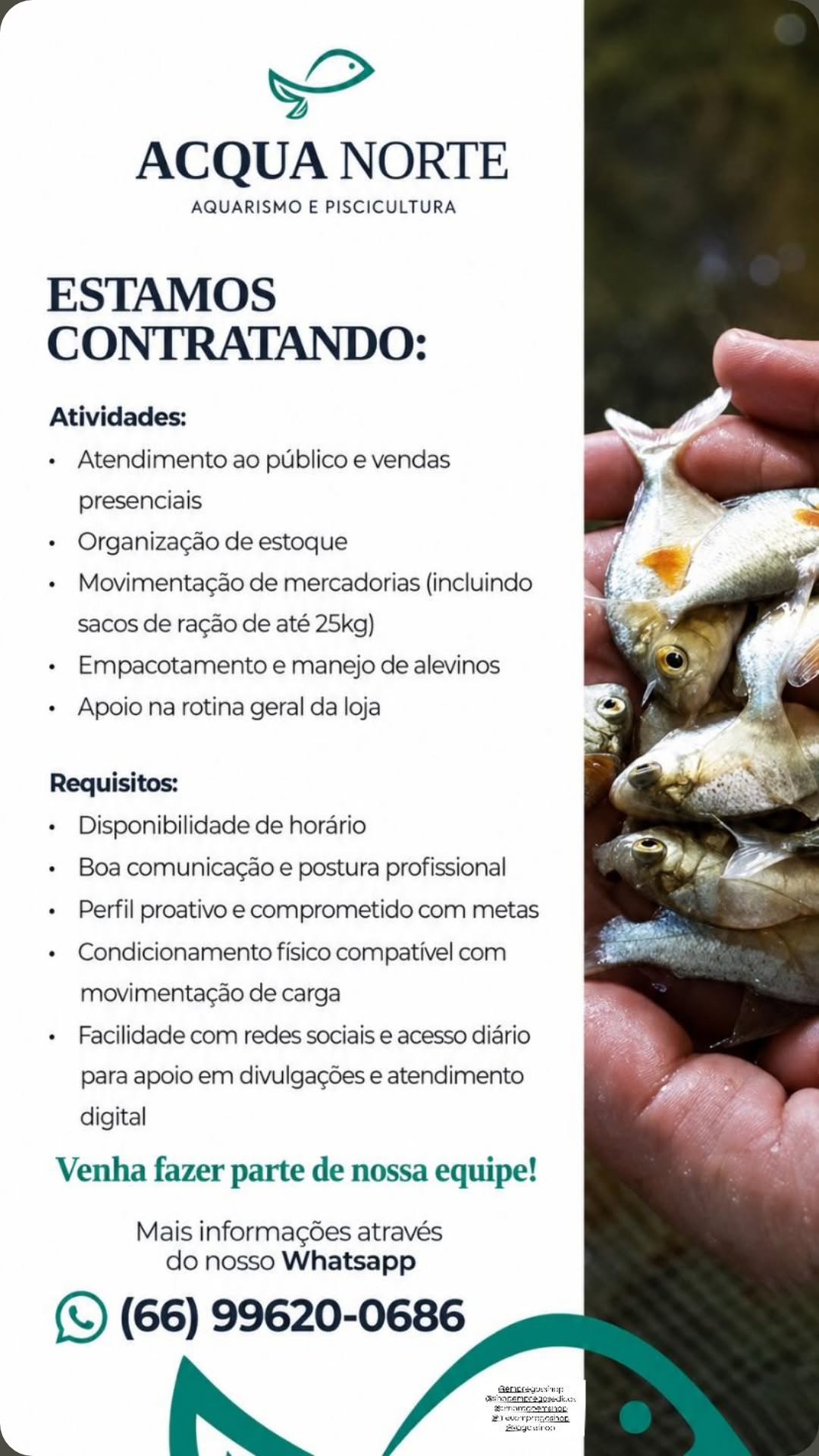 Vendedor