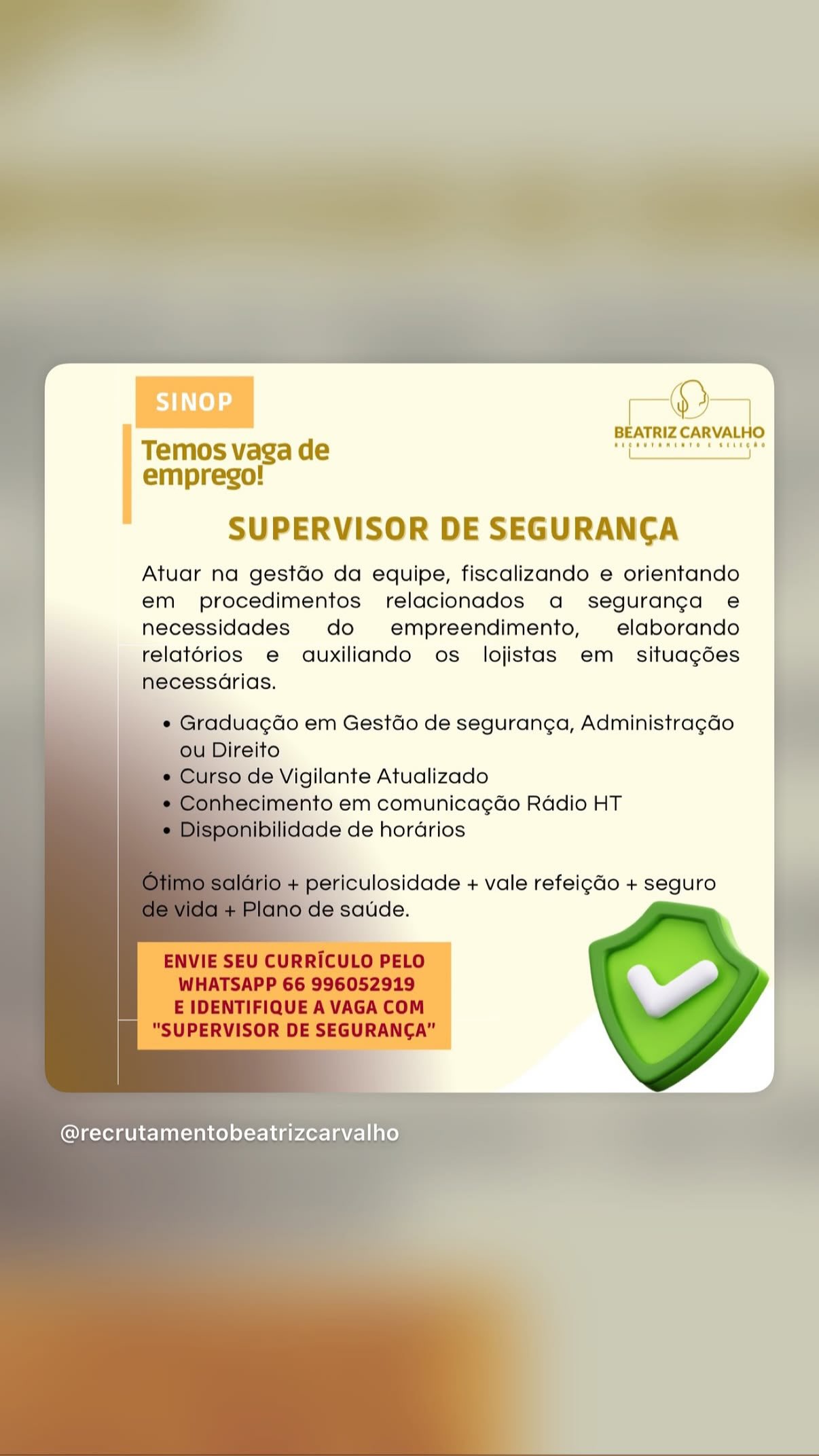 Supervisor de Segurança