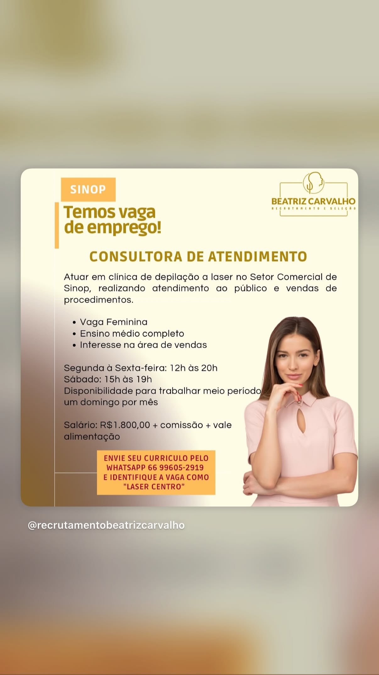 Consultora de atendimento
