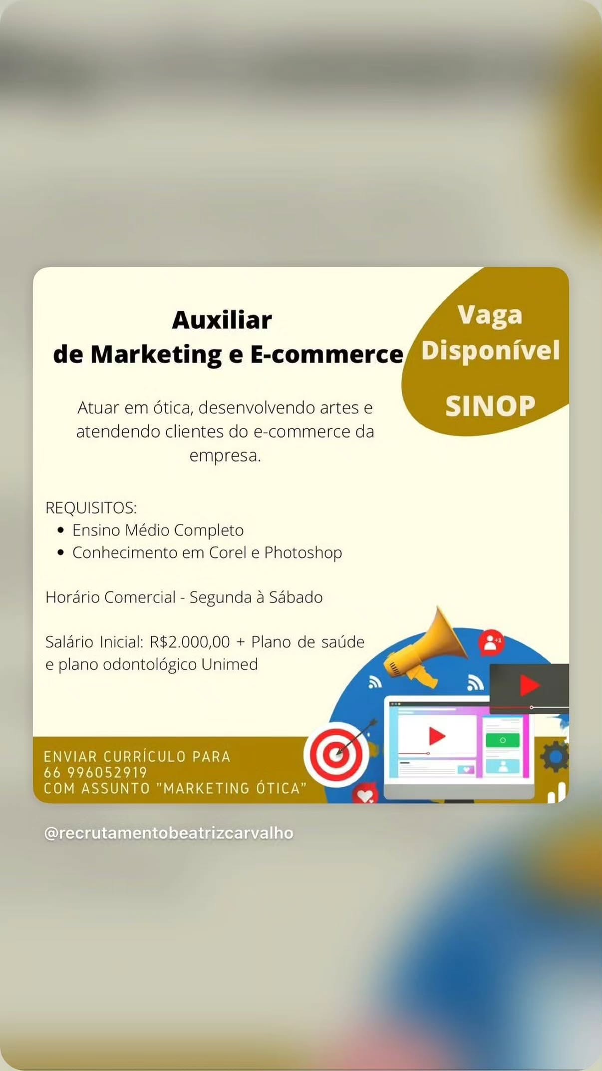 Auxiliar de Marketing