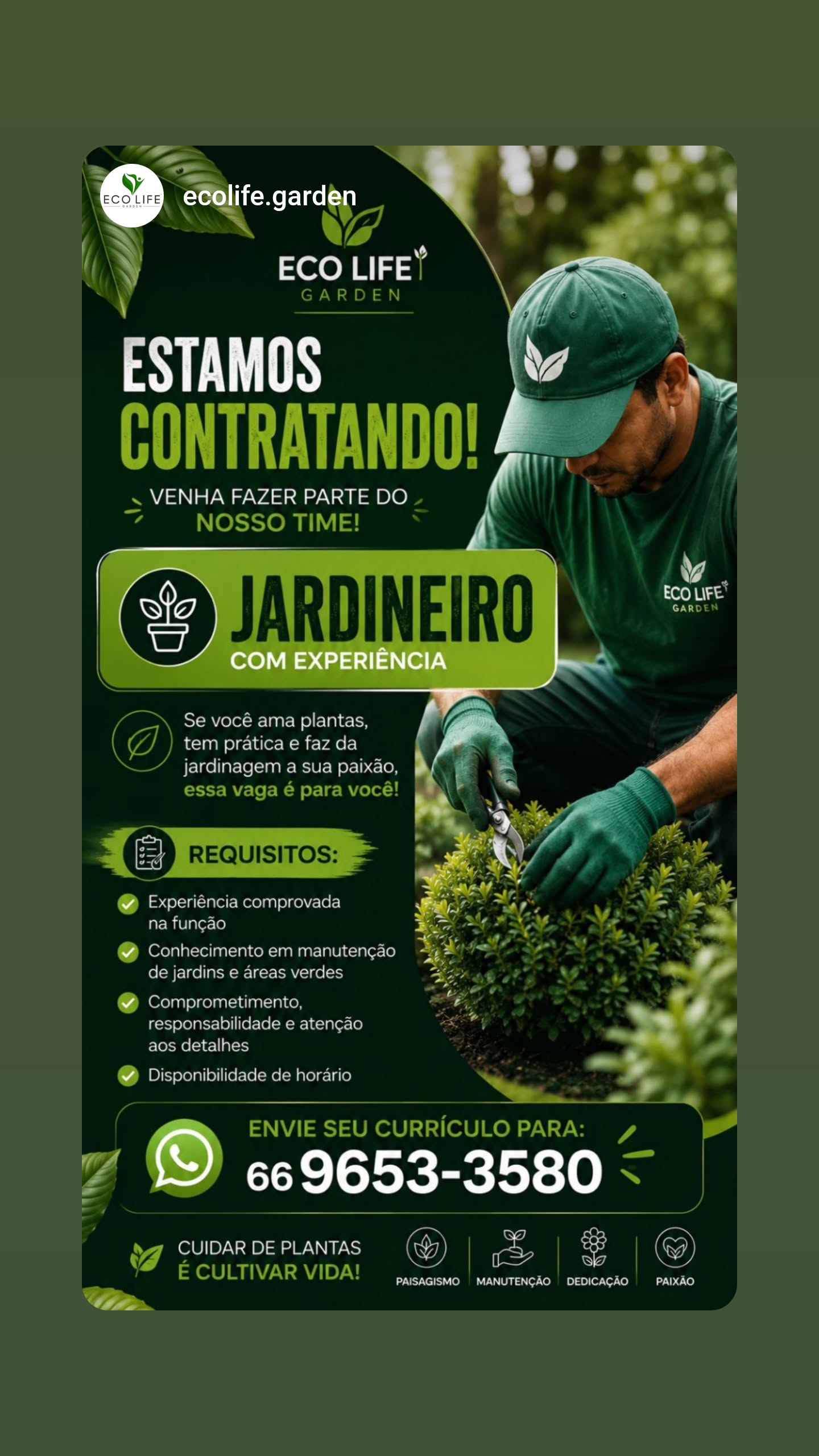Jardineiro