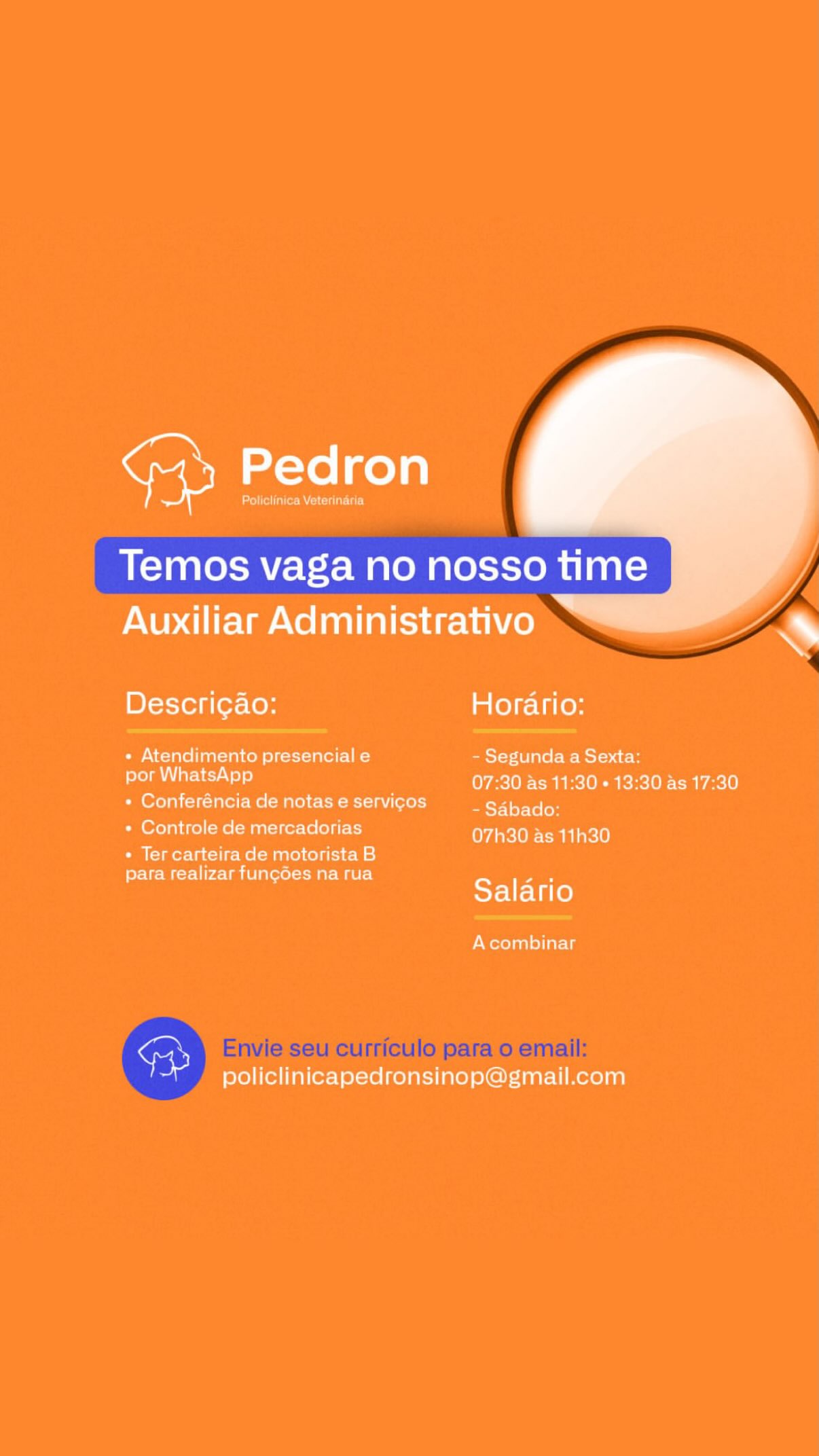 Auxiliar Administrativo