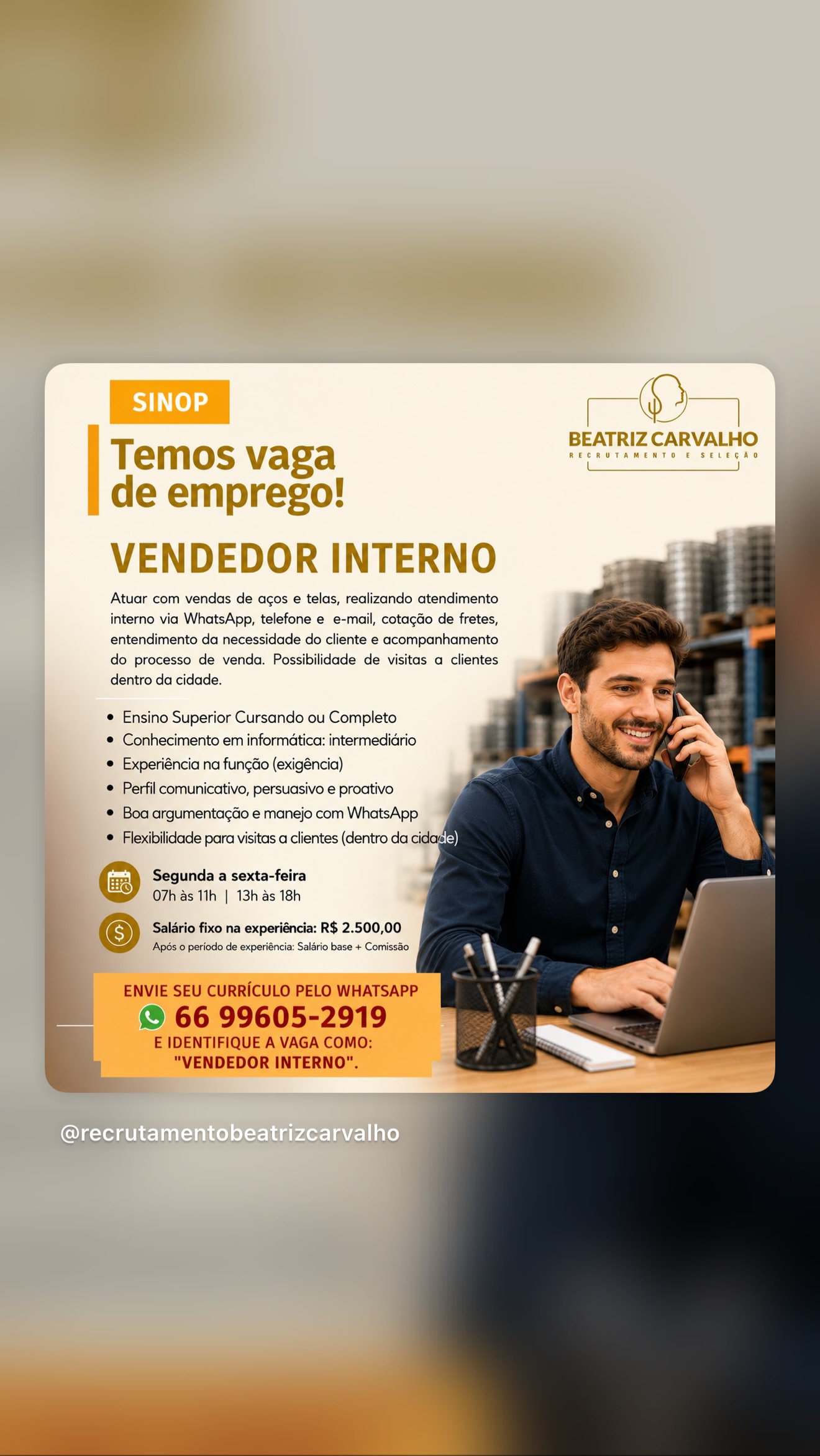 Vendedor Interno