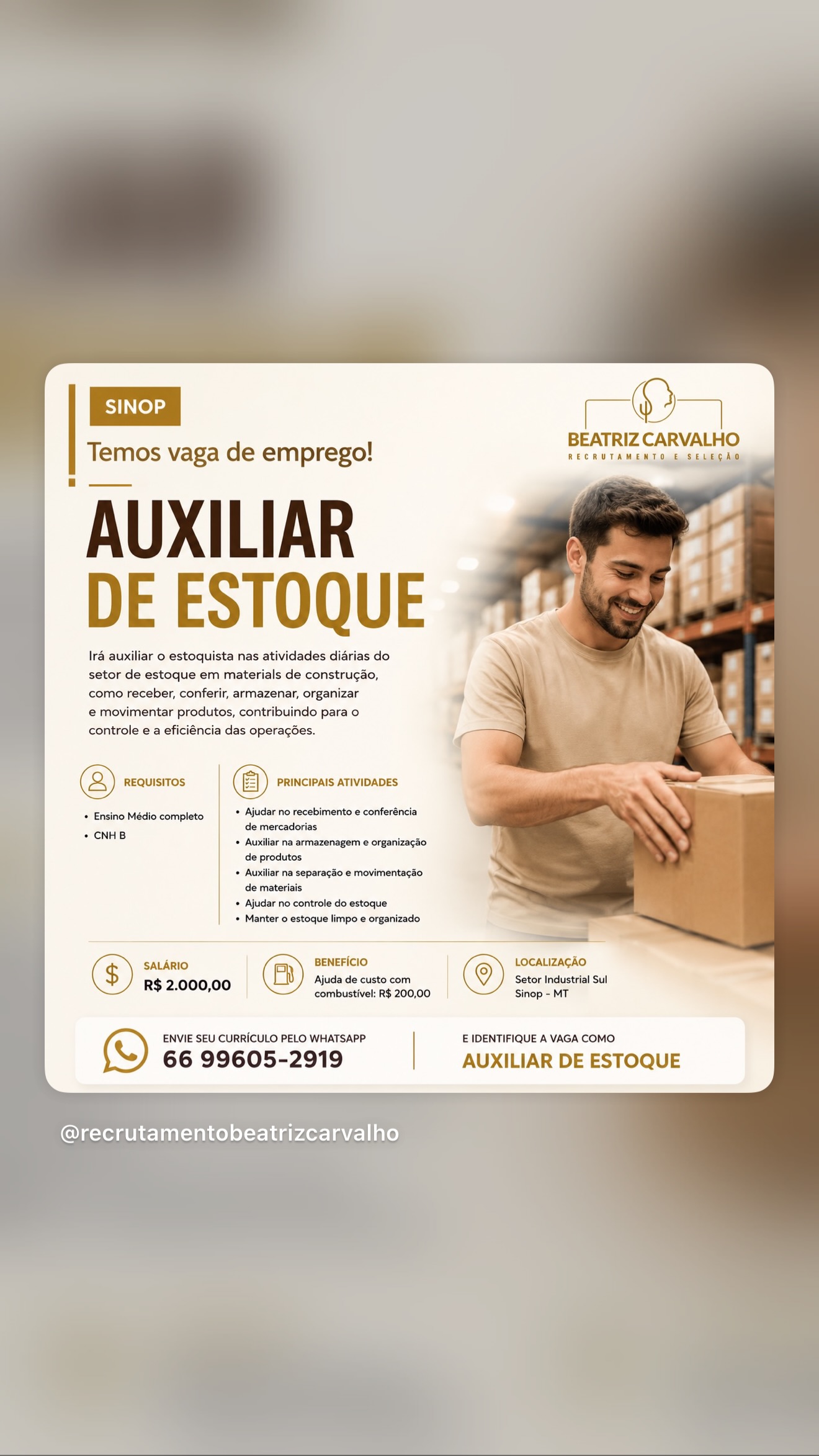 Auxiliar de estoque