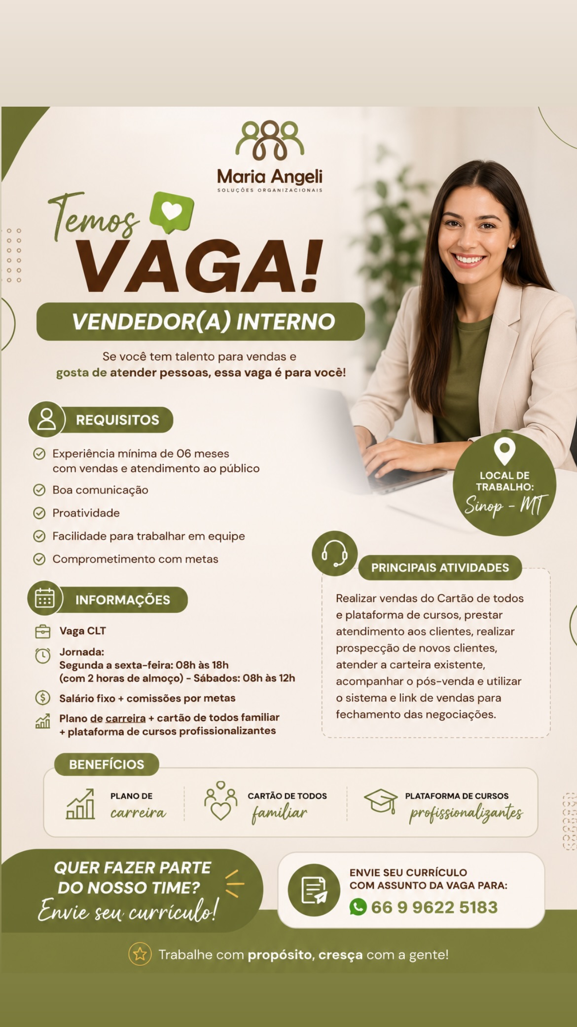 Vendedor Interno