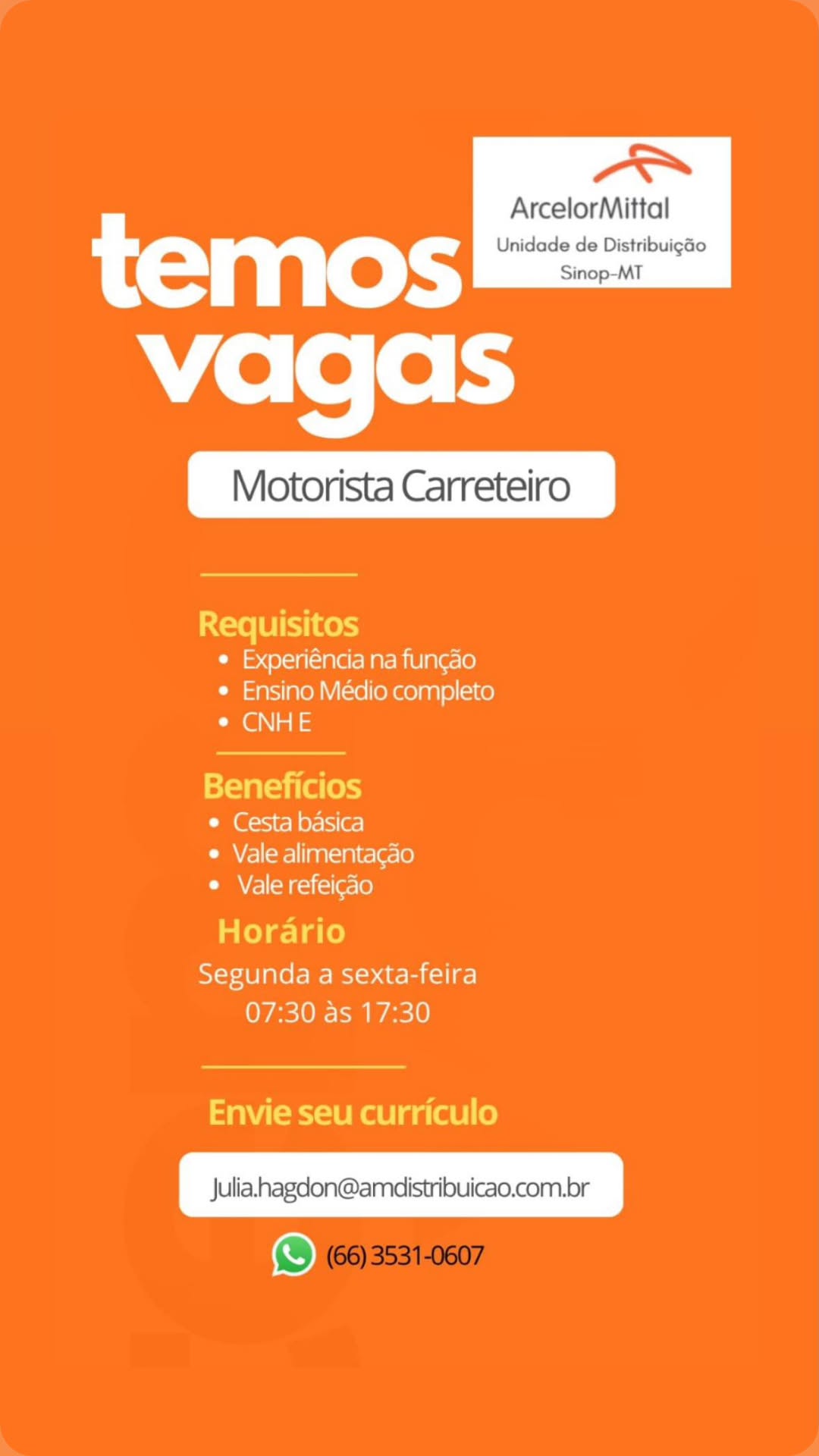 Motorista Carreteiro