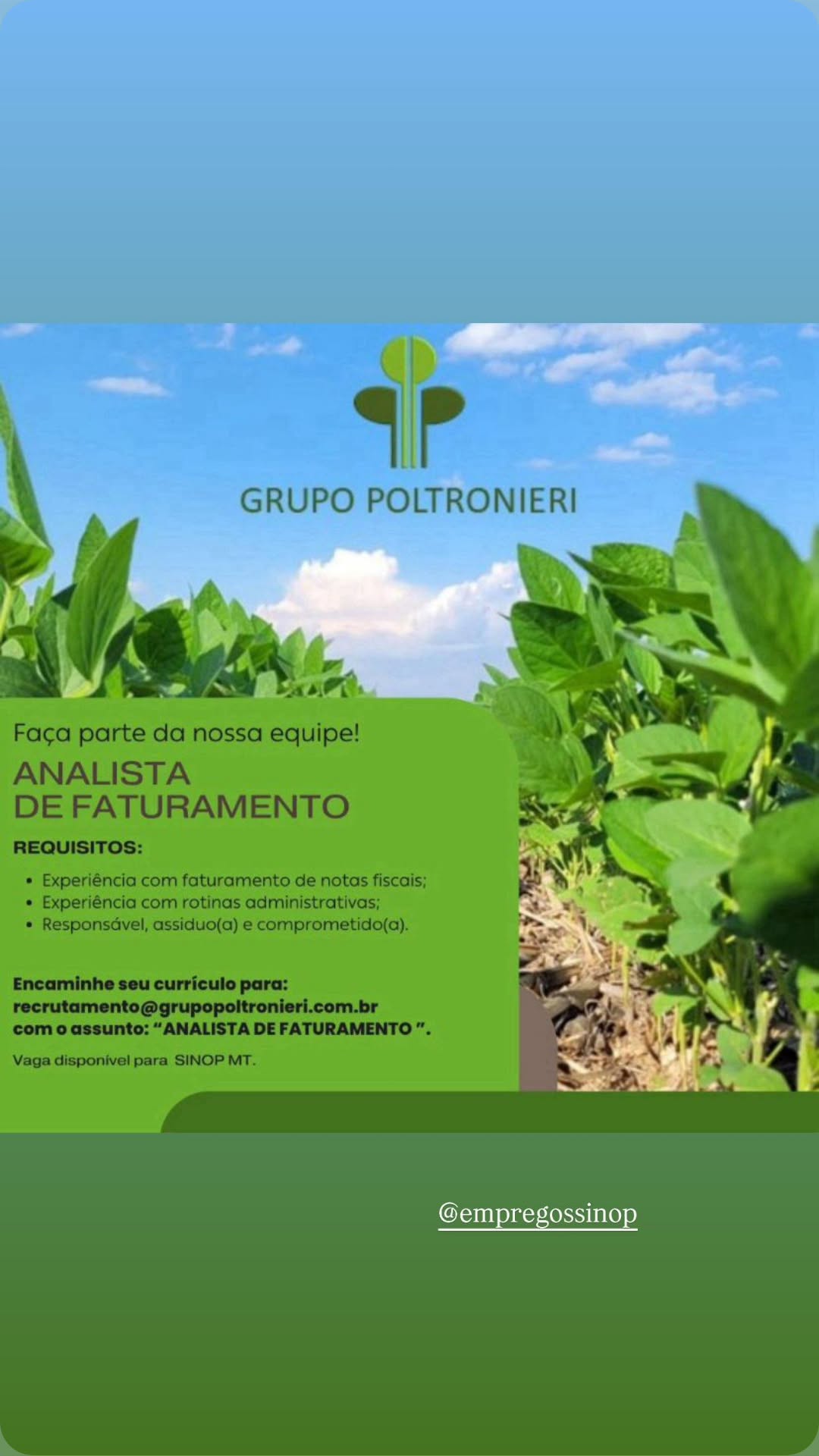 Analista de Faturamento