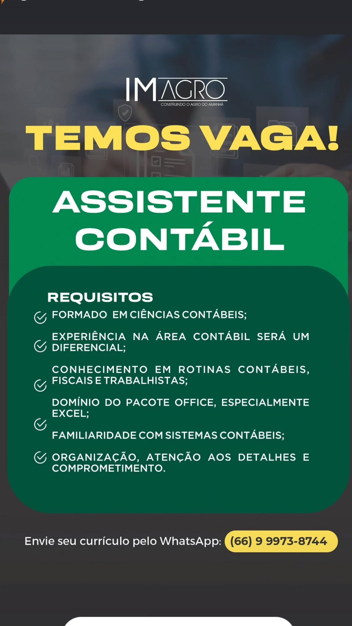 Assistente Contabil