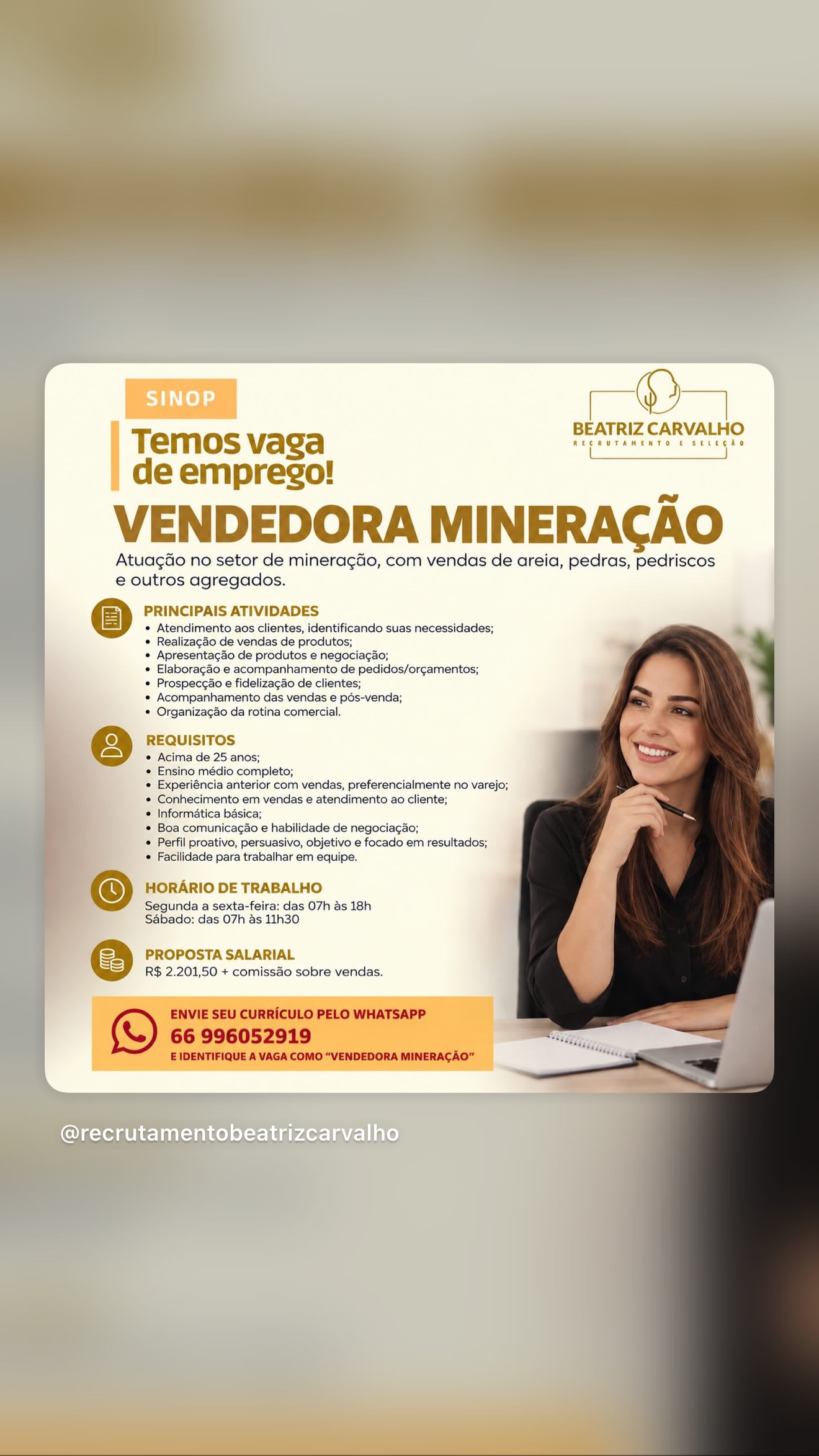 Vendedora Mineração