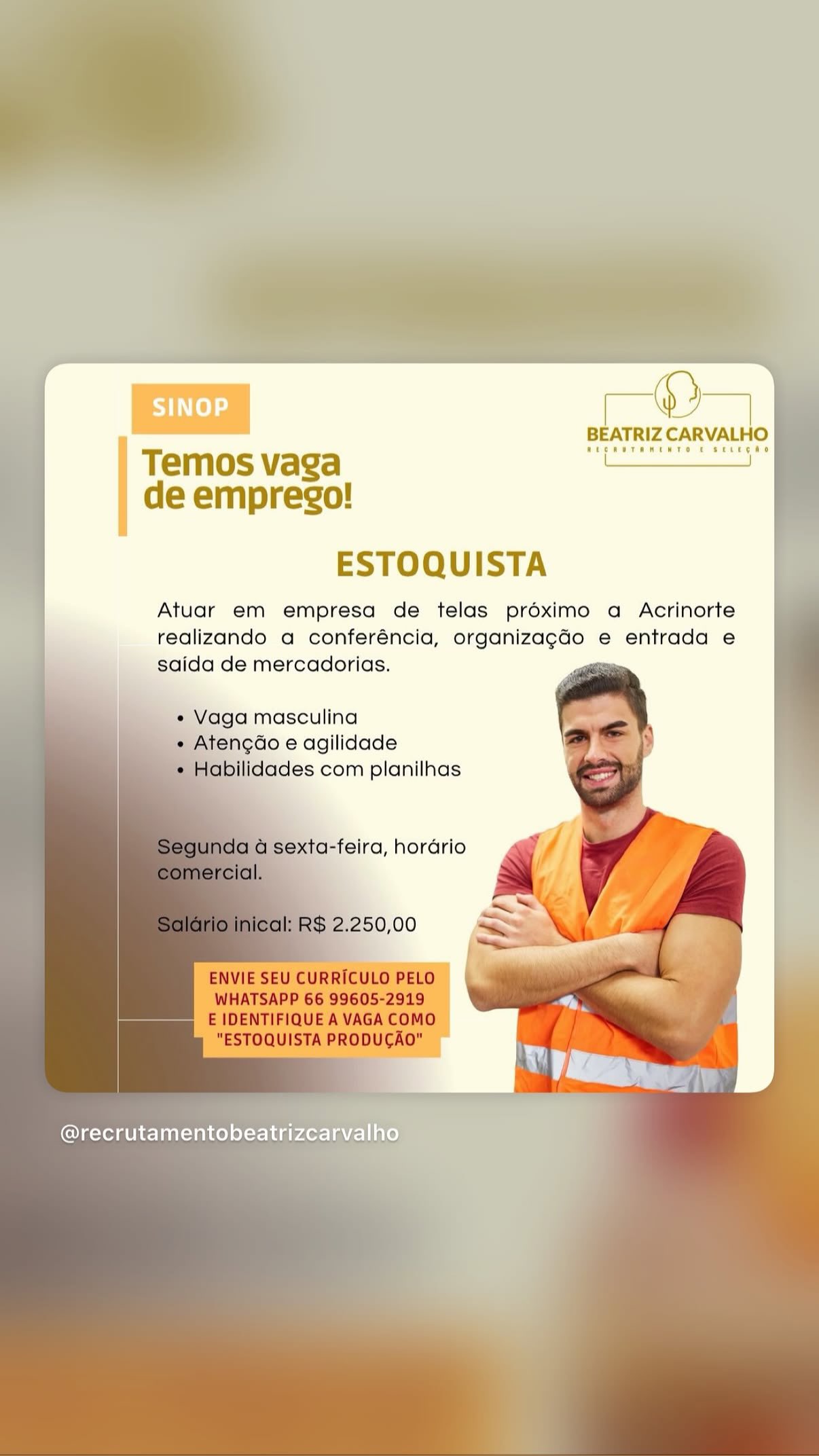 Estoquista