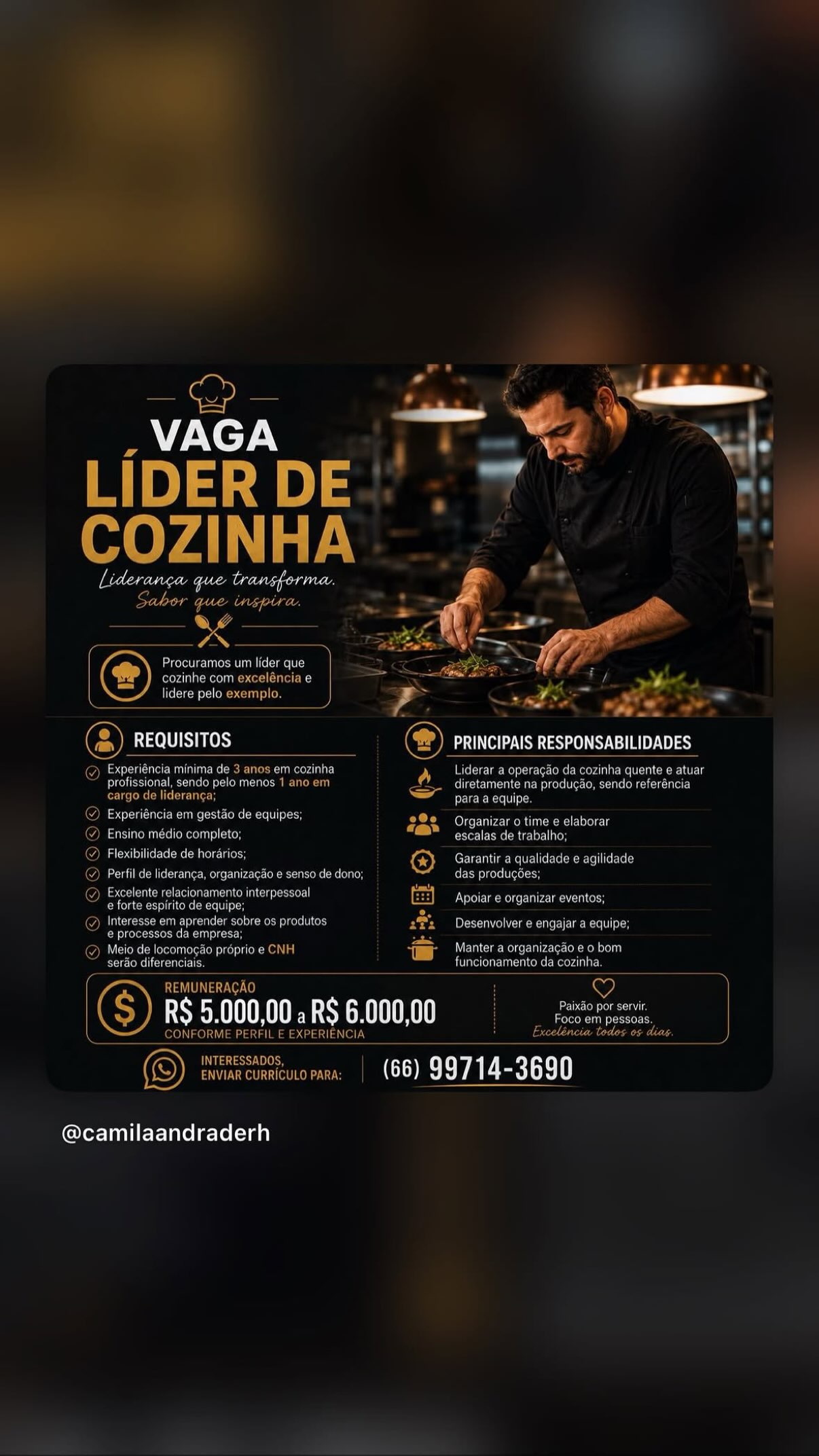 Líder de Cozinha