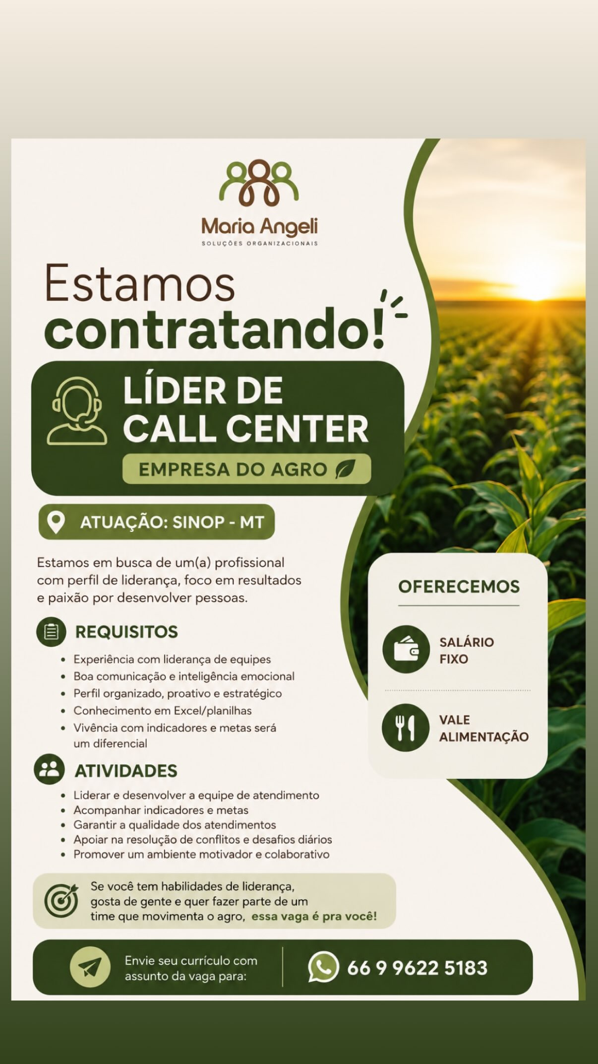 Líder de Call Center