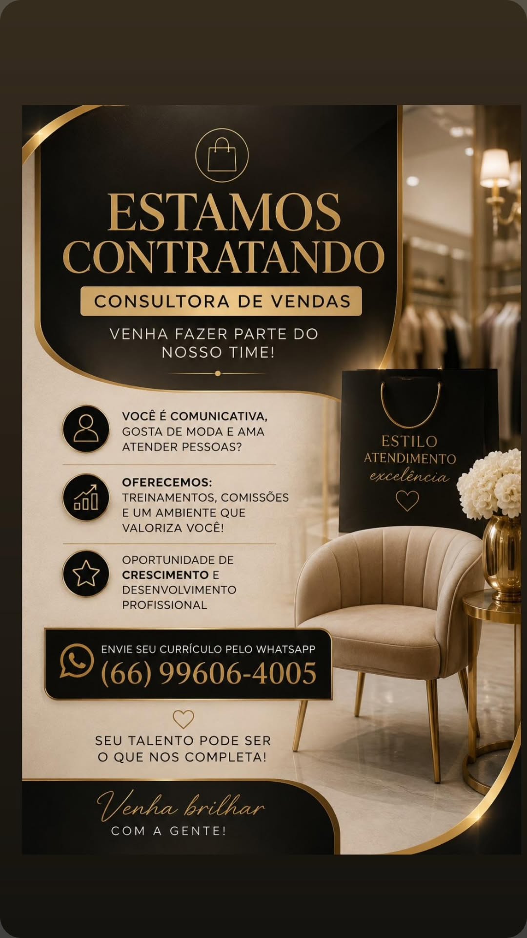 Consultora de Vendas