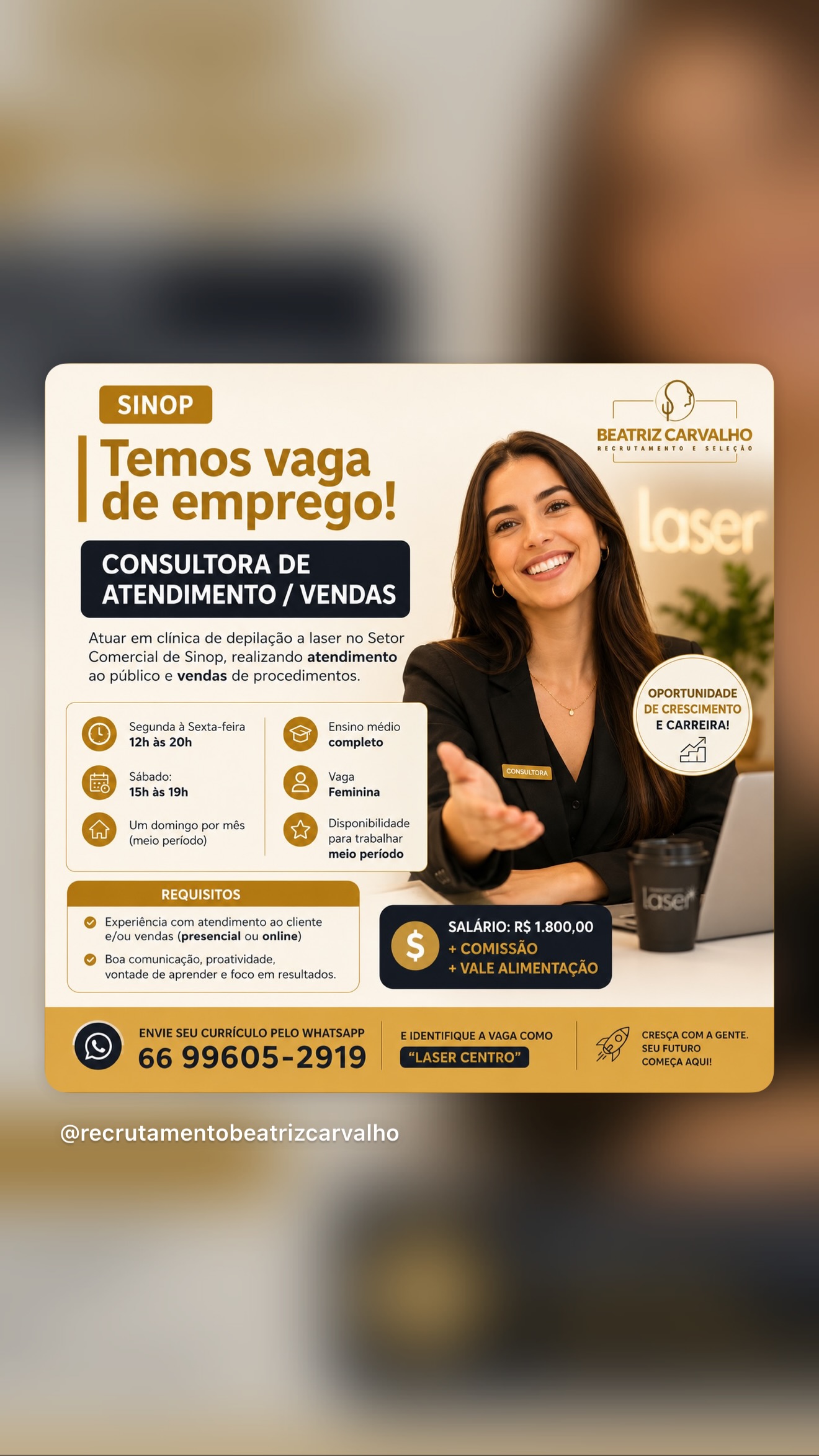 Consultora de Atendimento / Vendas