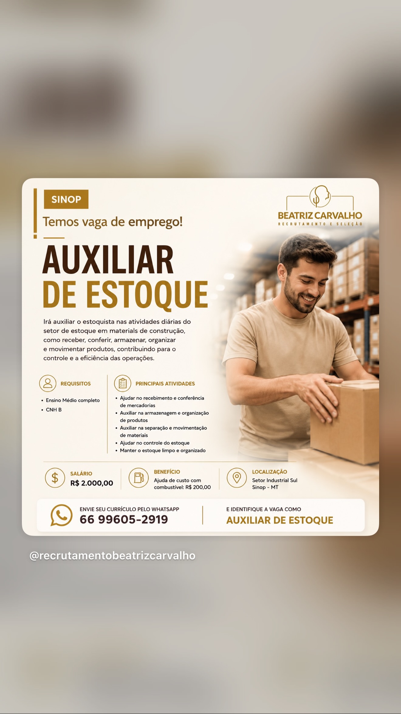 Auxiliar de Estoque