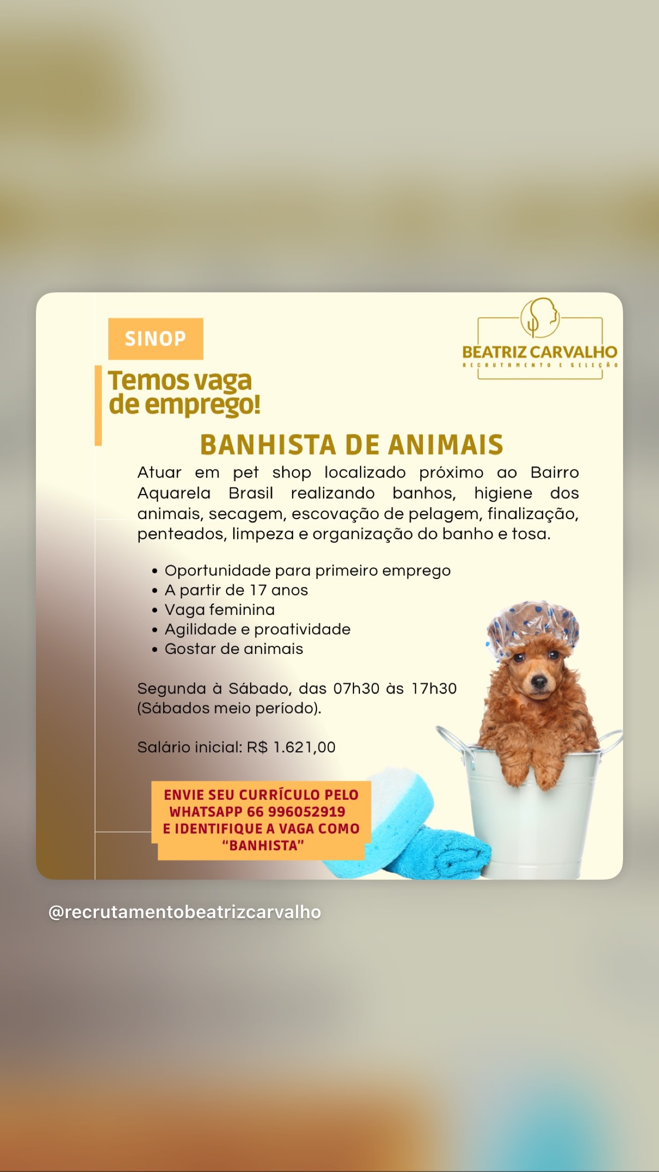 Banhistas de animais