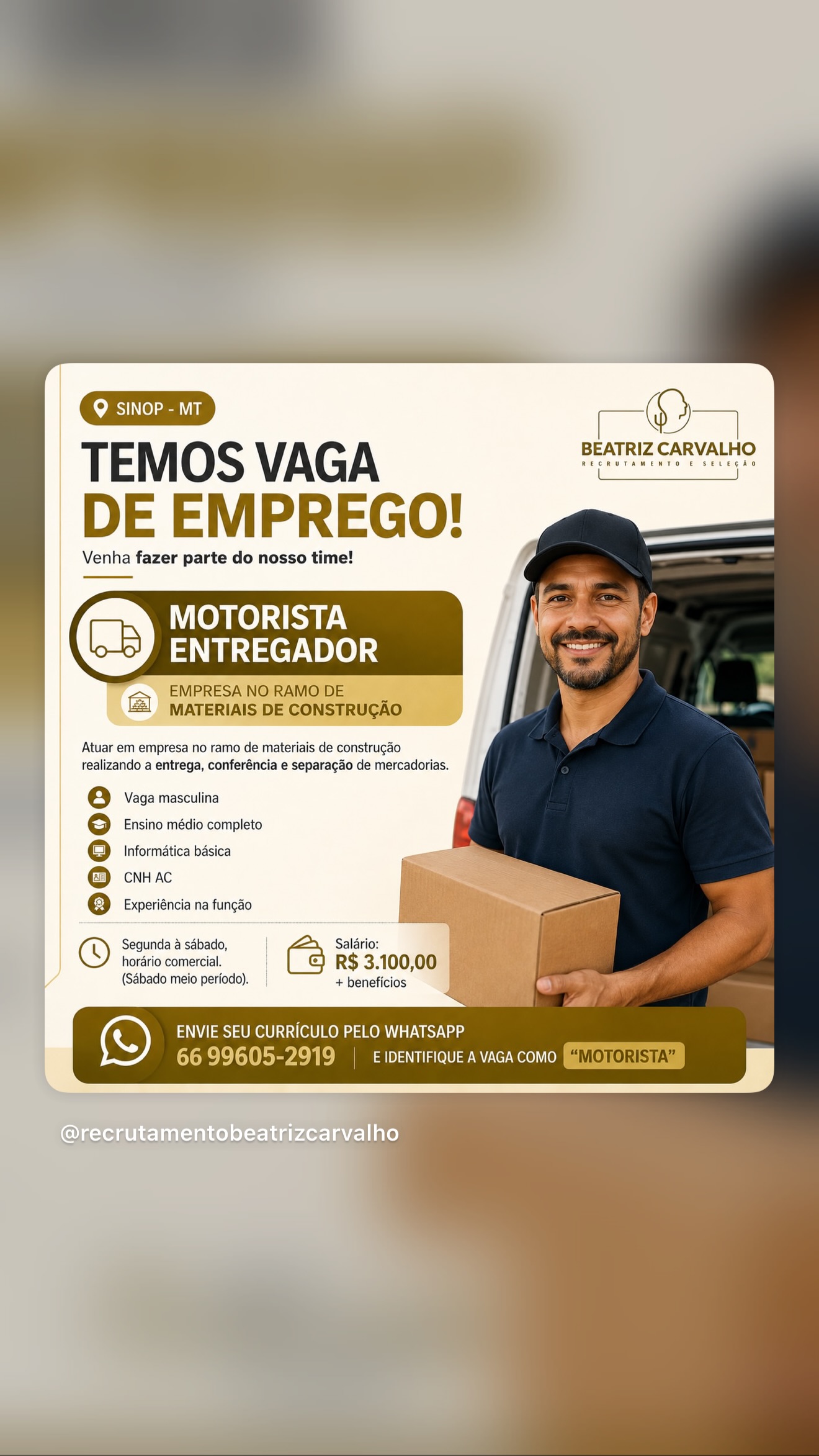 Motorista Entregador